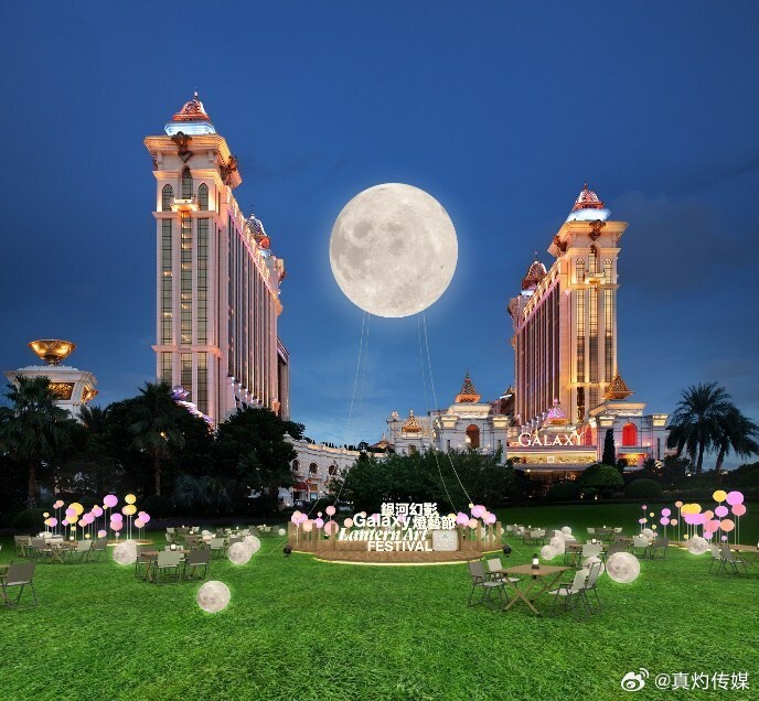 ＂澳門一肖一碼100%精準(zhǔn)的背景故事＂的：植物保護(hù)_高效版8.4