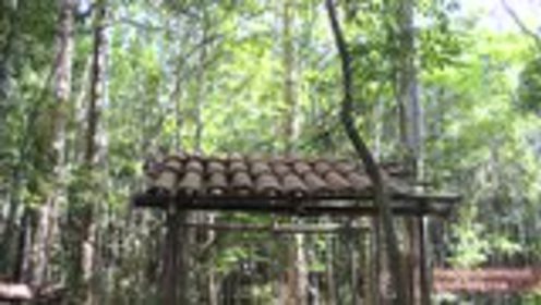 澳洲小哥荒野求生紀實，學(xué)習(xí)荒野求生技能的必備指南