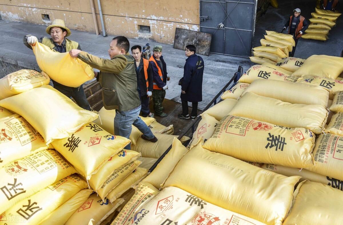 全國尿素最新價格，科技重塑生活下的新面貌