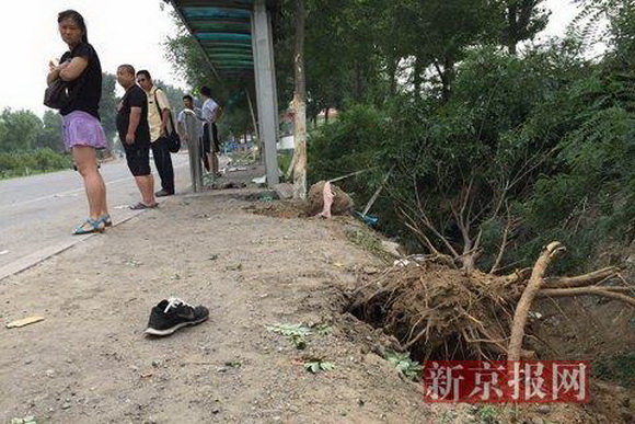 房山車(chē)禍真相揭秘，最新消息與各方觀點(diǎn)匯總