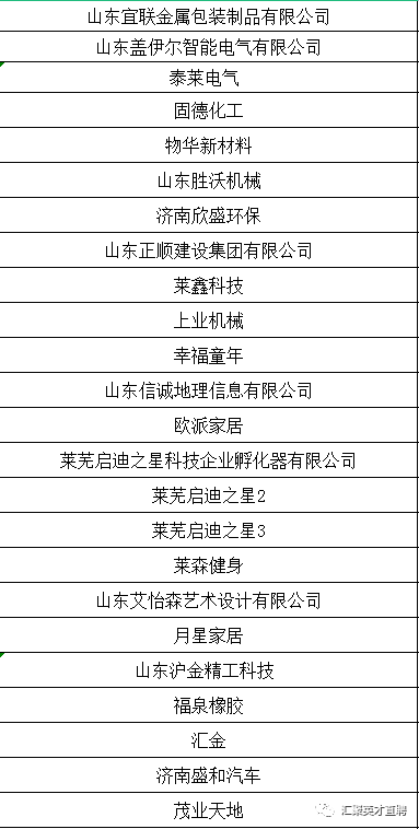 萊蕪金點子招聘，引領科技潮流，打造智能未來生活招聘新體驗