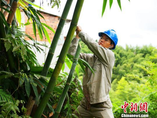 寧德臺風(fēng)最新動態(tài)，科技智能守護(hù)安全前沿